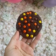 Sprinkled Confections Ready-to-Bake Chocolate Reese's Cookies